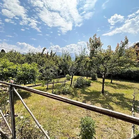 Gioia Del - *